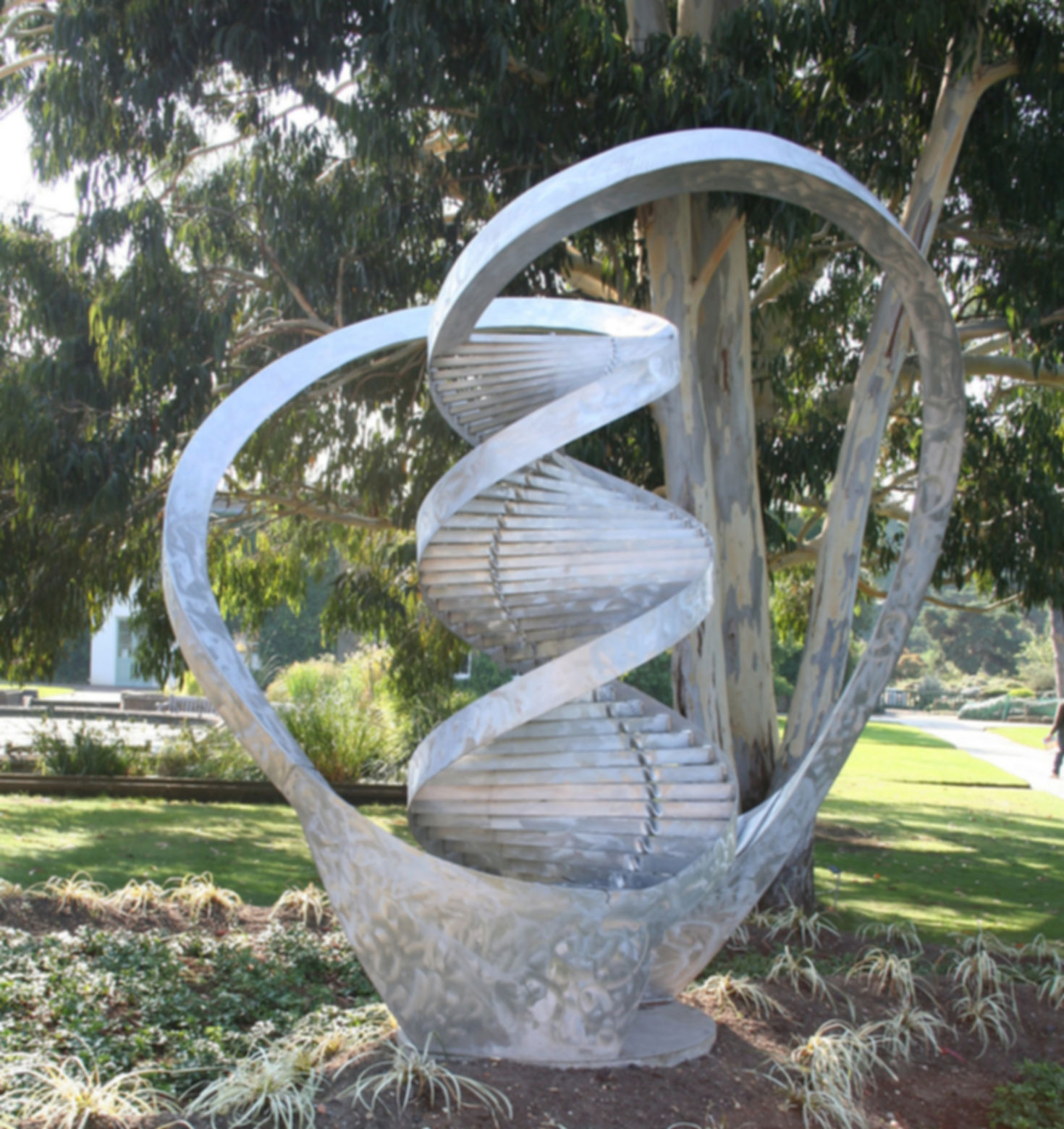 Bootstrap DNA - Kew Gardens