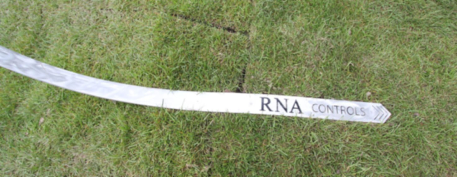 RNA Controls... DNA expression