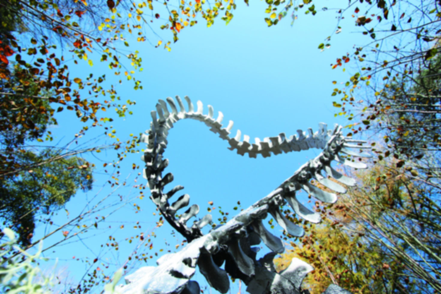 Continuity of Life and Death