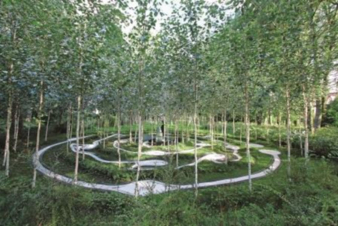 Birchbone Garden
