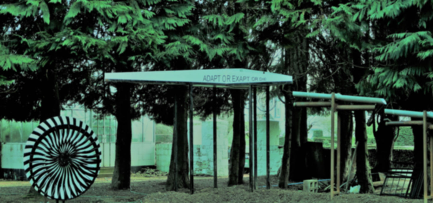 Garden of Exaptation